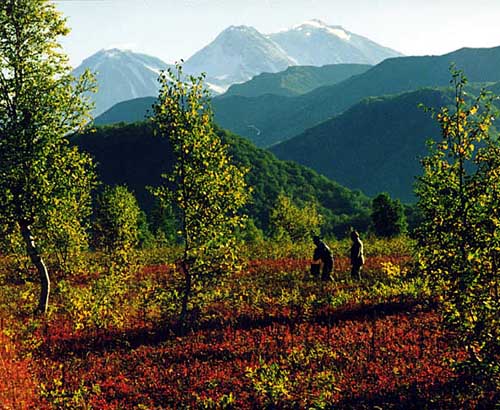 nalychevo2.jpg (64442 bytes)